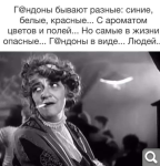 Показать в полный размер