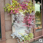 Показать в полный размер