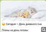 Показать в полный размер