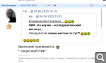 Показать в полный размер
