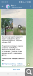 Показать в полный размер