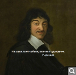 Показать в полный размер