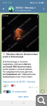 Показать в полный размер