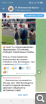 Показать в полный размер