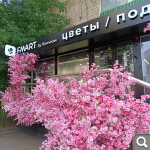 Показать в полный размер