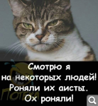 Показать в полный размер