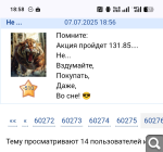 Показать в полный размер