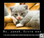 Показать в полный размер