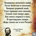 Показать в полный размер