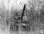 Показать в полный размер