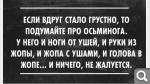 Показать в полный размер