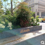 Показать в полный размер