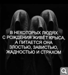 Показать в полный размер