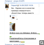 Показать в полный размер