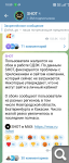 Показать в полный размер