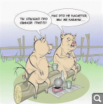 Показать в полный размер