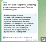 Показать в полный размер