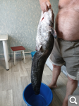 Показать в полный размер