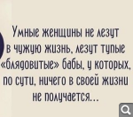 Показать в полный размер