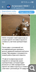 Показать в полный размер