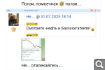 Показать в полный размер