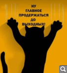 Показать в полный размер