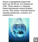 Показать в полный размер