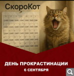 Показать в полный размер