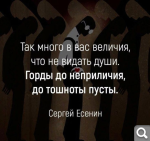 Показать в полный размер