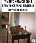 Показать в полный размер