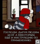 Показать в полный размер