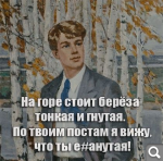 Показать в полный размер