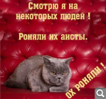 Показать в полный размер