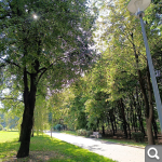 Показать в полный размер