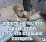 Показать в полный размер