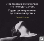 Показать в полный размер