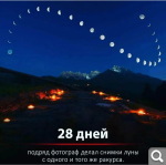 Показать в полный размер