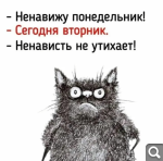 Показать в полный размер