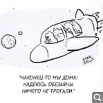 Показать в полный размер