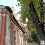 Показать в полный размер