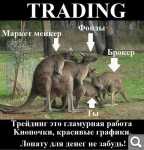 Показать в полный размер