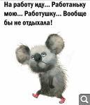 Показать в полный размер