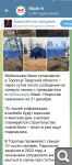 Показать в полный размер