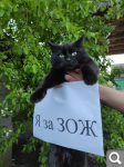 Показать в полный размер
