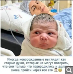 Показать в полный размер