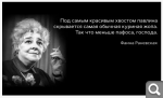 Показать в полный размер