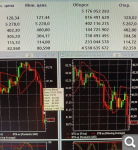 Показать в полный размер