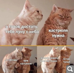 Показать в полный размер