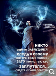 Показать в полный размер