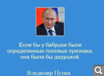 Показать в полный размер